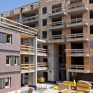 Дърво по високите етажи