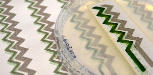 Продукти, които ни водят към нашето слънцезахранващо бъдеще