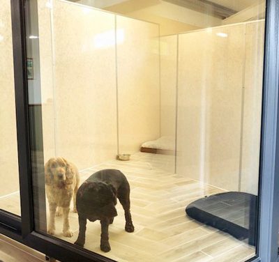 Плъзгащи се врати придават класа на VIP хотел за кучета