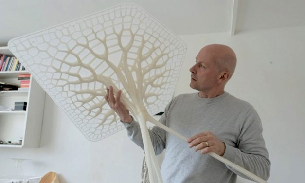 Биомимикрията и градовете в борба срещу изменението на климата