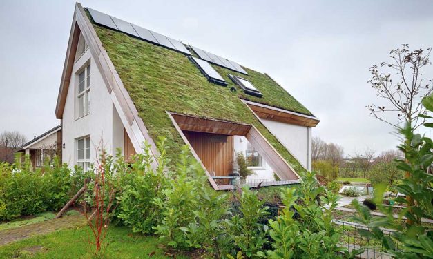 Зелен покрив: хармония между природа и светлина с Fakro